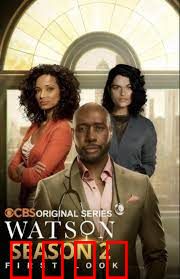 华生第二季：侦探回归