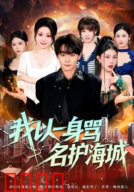 我以一身骂名护海城：孤独守护者