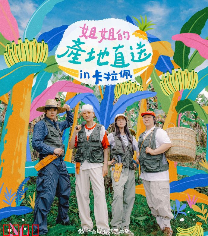 姐姐家的产地直送3：乡味情缘