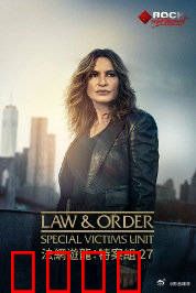 法律与秩序：正义的代价