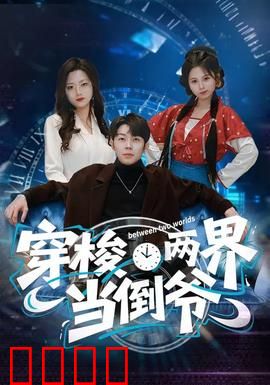 穿梭两界当倒爷：时空倒卖王