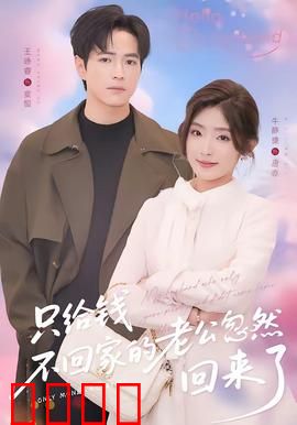 只给钱不回家的老公忽然回来了：家庭重组疑云