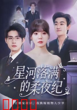 星河落满的柔夜纪：星际恋歌