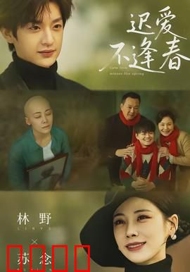 迟爱不逢春：错过终生