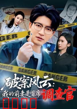 破案风云：真相浮出水面