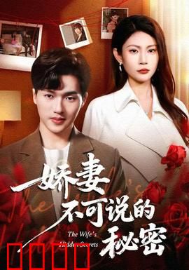 娇妻不可说的秘密：隐藏的过往
