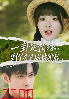 一卦定情缘，野丫头进城被团宠：占卜少女逆袭记