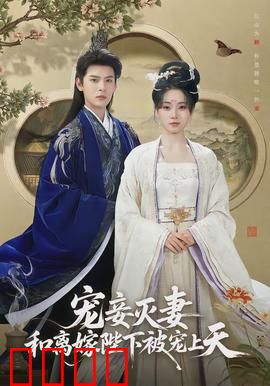 宠妾灭妻，和离嫁陛下被宠上天：逆袭皇后之路