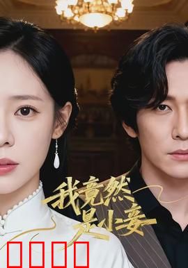 我竟然是小妾：逆袭上位记