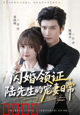 闪婚领证，陆先生的宠妻日常：甜宠到底