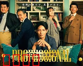 专业人士：孤胆特工复仇记