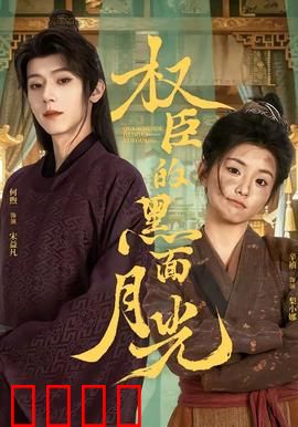 权臣的黑面月光：暗夜权谋