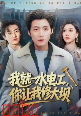 我就一水电工，你让我修大坝：水电工的逆袭