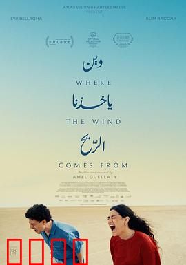 风来之所：逆风而行