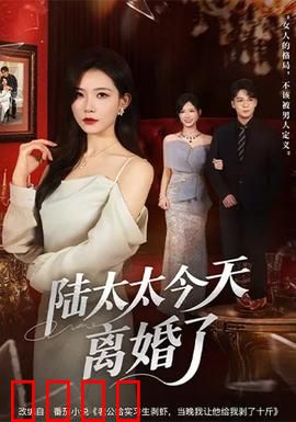 陆太太今天离婚了：女主逆袭