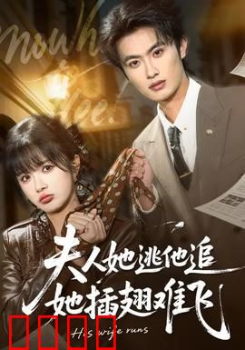 夫人她逃他追，她插翅难飞：追妻火葬场