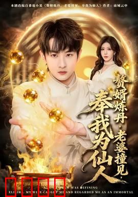 赘婿炼丹，老婆撞见，奉我为仙人：逆袭之路