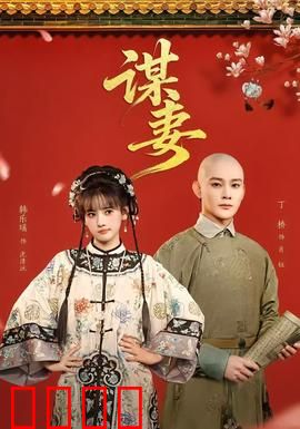 谋妻：复仇迷局