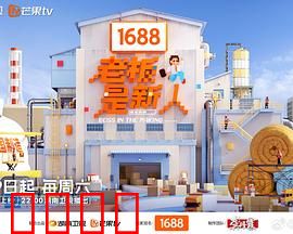 老板是新人：职场逆袭记