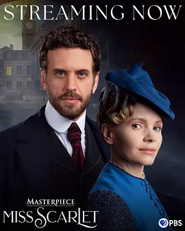 斯嘉丽小姐探案集第六季：暗夜迷踪