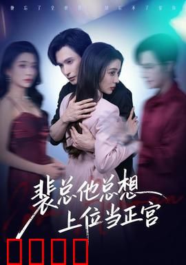 裴总他总上位当正宫：霸道总裁逆袭记