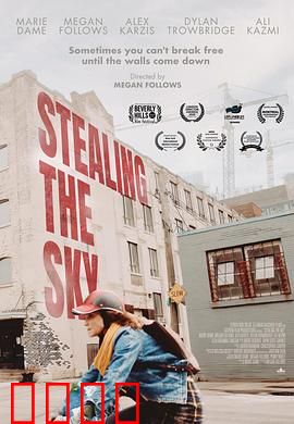 窃取天空：盗天换日