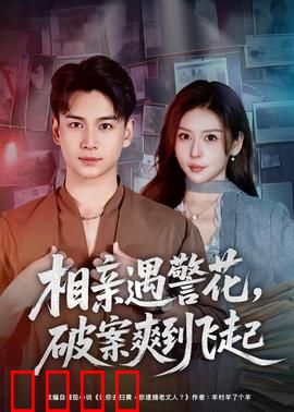 相亲遇警花，破案爽到飞起：警花搭档破案