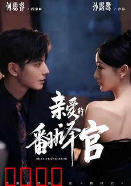 亲爱的翻译官：翻译官的浪漫逆袭