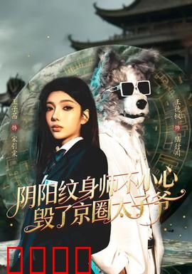 阴阳纹身师不小心毁了京圈太子爷：意外毁容