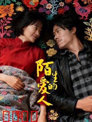 陌生的爱人：失忆背后的谎言