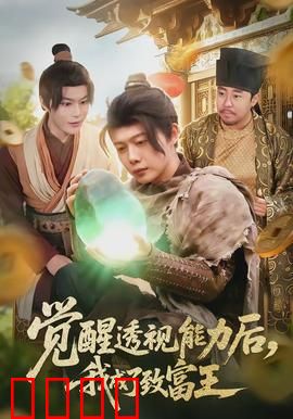 觉醒透视能力后，我成了致富王：逆袭赌石