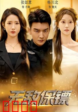 无敌保镖：暗影守护