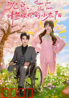 沈总，请签收你的小太阳：霸道总裁追妻记