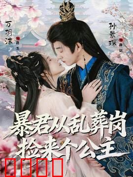 暴君从乱葬岗捡来个公主：杀伐与救赎
