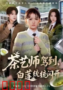 茶艺师驾到白莲统统闪开：逆袭爽文