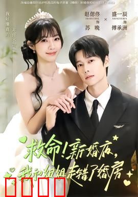 救命！新婚夜，我和姐姐走错了婚房：阴差阳错的爱情