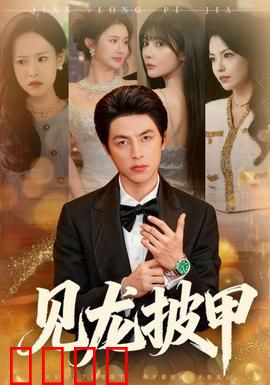 见龙披甲：铁血单骑