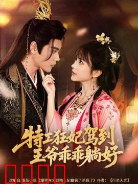 特工狂妃驾到，王爷乖乖躺好：狂妃逆袭记