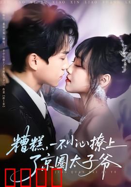 糟糕，一不小心撩上了京圈太子爷：甜宠逆袭