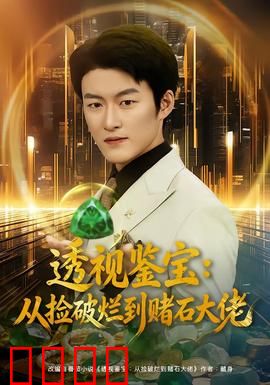 透视鉴宝：天眼破局