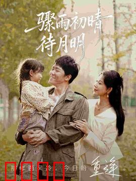 骤雨初晴待月明：风雨后的守候