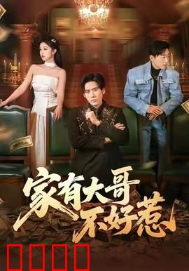 《大哥归来：铁血柔情