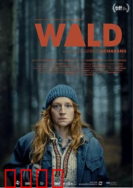 走出丛林：绝境求生记