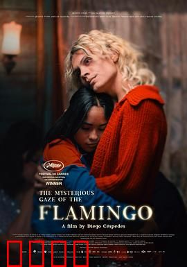 弗拉明戈的神秘眼神：舞动中的真相