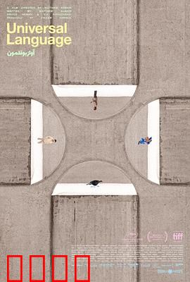 共同的语言：音乐无国界