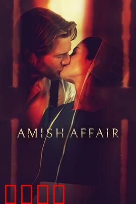 阿米什事件：悬疑迷雾