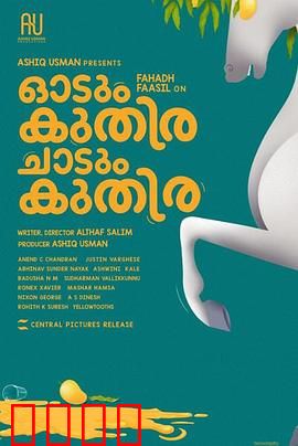 一匹马奔跑，一匹马跳跃：双马奇缘