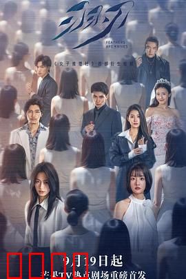 羽刃：命运之翼的抉择