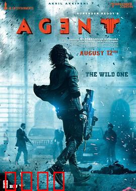 野蛮特工：暴力正义