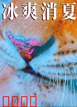 寒冰白血：生死极速救援